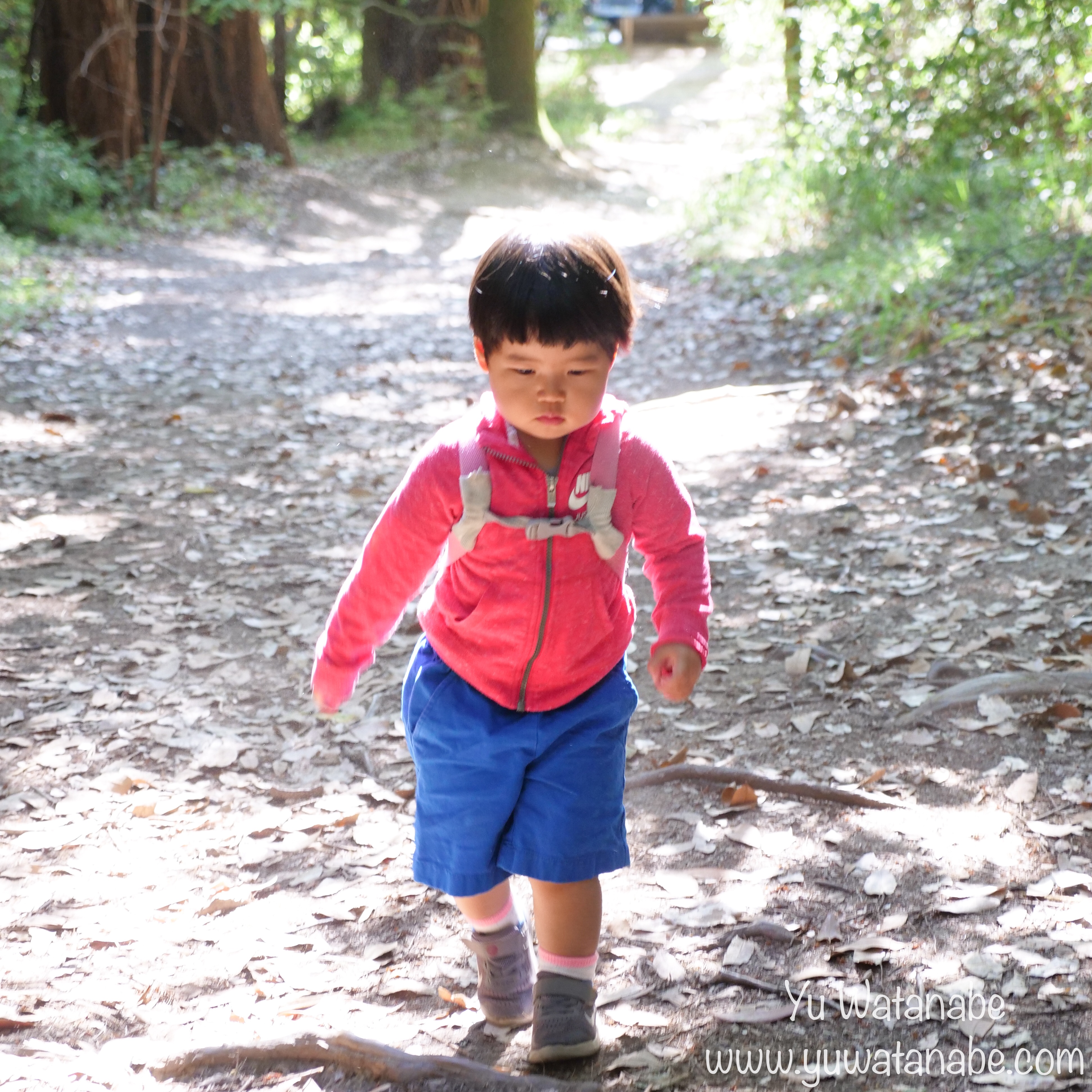 Photo Aug 11, 5 43 45 PM